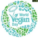 Sneha Ullal Instagram - #beingcompassionate