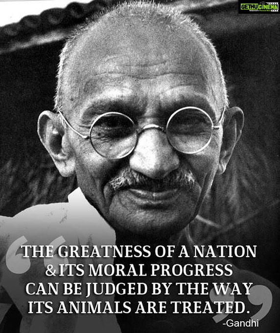 Sneha Ullal Instagram - Truth be told..He would have been ashamed..