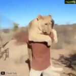 Sneha Ullal Instagram - Being Compassionate