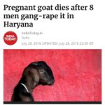 Sneha Ullal Instagram - These men should be slaughtered publicly and fed to the wild animals in our country.These men are definitely a threat to the society.Our laws need to be more strict about “RAPE”. Khatam karo yeh logo ko.