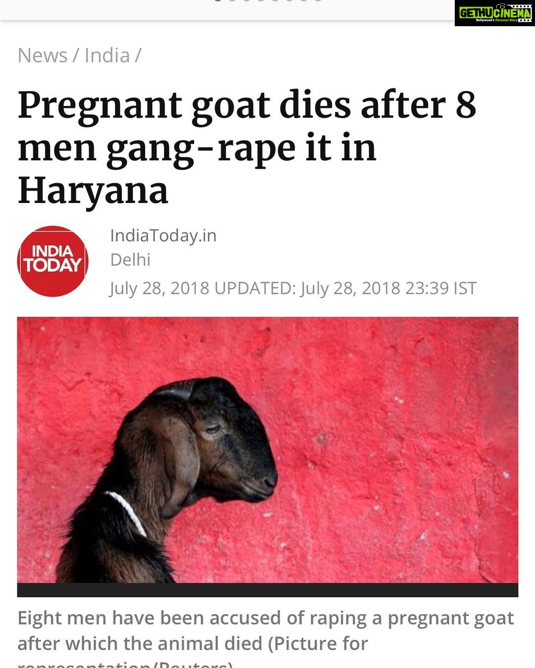 Sneha Ullal Instagram - These men should be slaughtered publicly and fed to the wild animals in our country.These men are definitely a threat to the society.Our laws need to be more strict about “RAPE”. Khatam karo yeh logo ko.
