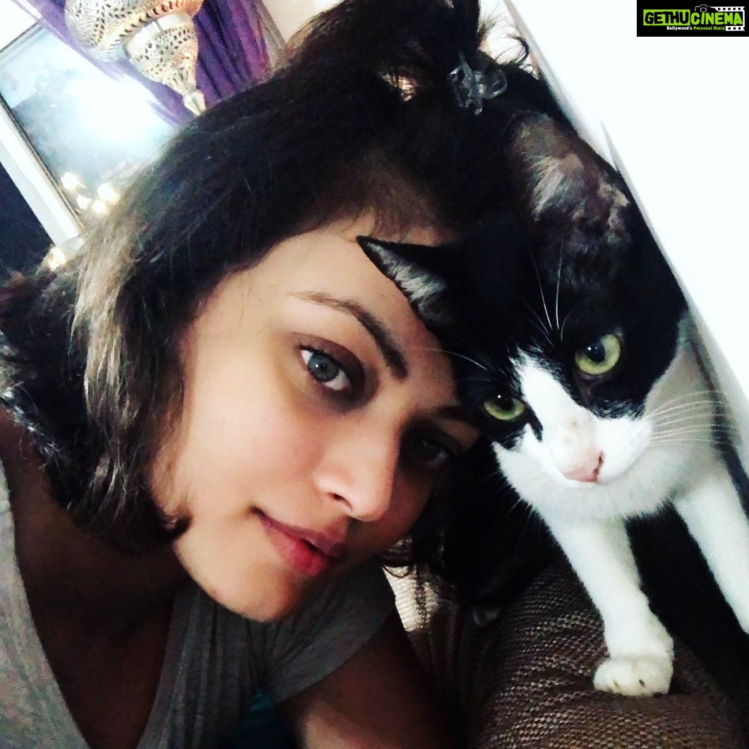 Sneha Ullal Instagram - ❤️❤️My fur baby “Picket”.❤️❤️