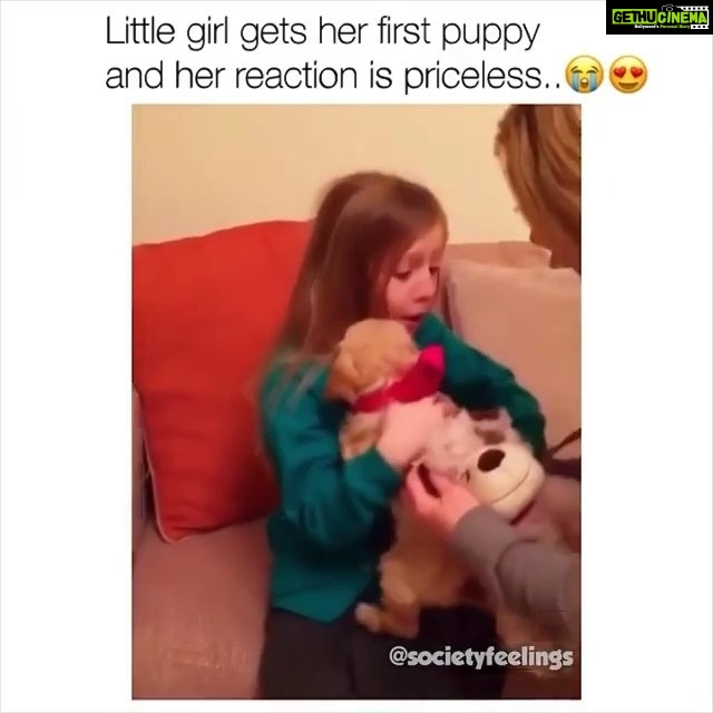 Sneha Ullal Instagram - The only time you will see me cry is when others cry.This video is so sweet.