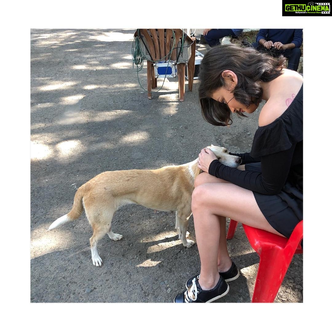 Sneha Ullal Instagram - I fight for their lives.