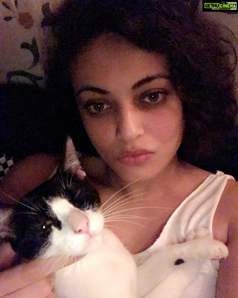 Sneha Ullal Instagram - Shes tired from playing with her toys and im tired from a wrong work out.😔