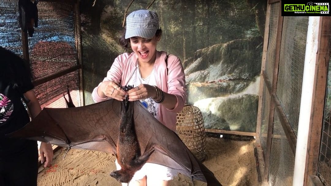Sneha Ullal Instagram - 🦇Bonding with a bat🦇