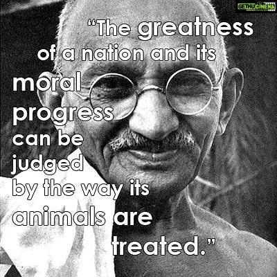 Sneha Ullal Instagram - Making our country better,its up to us #happygandhijayanti🙏