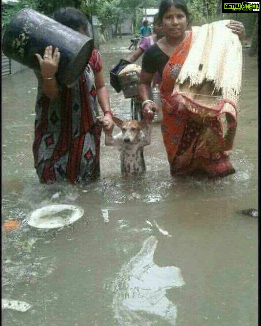 Sneha Ullal Instagram - Ahimsa #compassionforall .One pic speaks so much about these people.I pray God blesses them with all that they need..