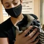 Sneha Ullal Instagram – This baby crow wasn’t flying and was moments away from getting attacked by my building cats.I managed to get to her on time.After 2 days of care and feeding her,shes free to fly away.Waiting and watching..#snehaullal #reelsinstagram #reels