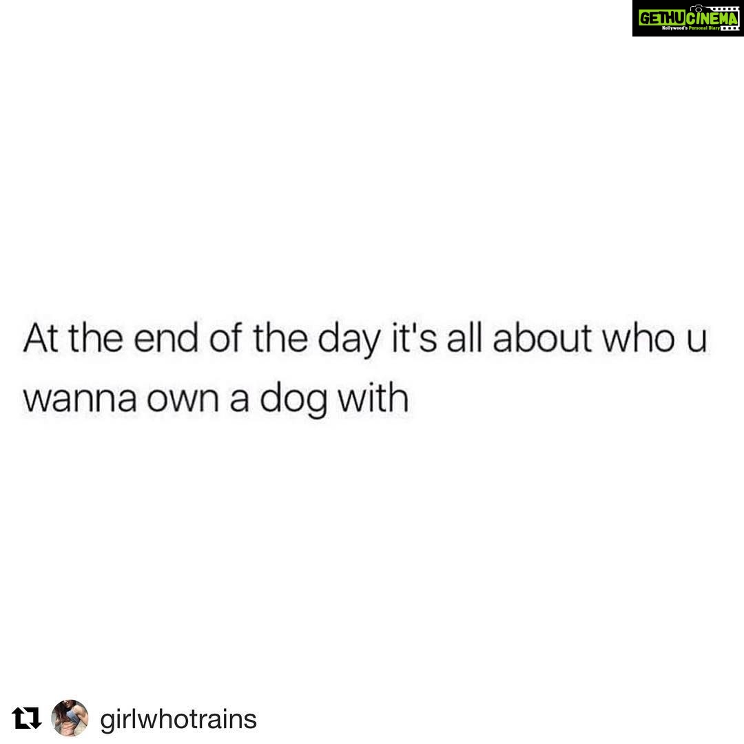 Sneha Ullal Instagram - My sentiments exactly