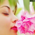 Sneha Ullal Instagram - 🌺