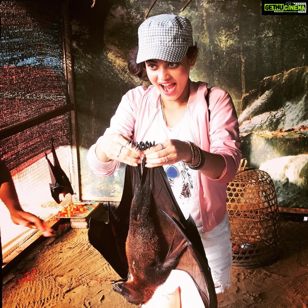 Sneha Ullal Instagram - Yep thats a bat.I have no fear💪🏻😏.Ok i'm lying🤐I fear......Uhmmmmm.Any guesses?😃