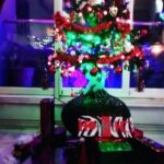 Sneha Ullal Instagram - Merry Christmas hohoho #myfavorite #mychristmastree My polar express