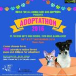 Sneha Ullal Instagram - If you interested to adopt love pamper and spoil a fur baby like me please do come for this #adoptathon2016 .
