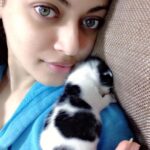 Sneha Ullal Instagram - Abandoned by her mom a week old she entered my life.After all our efforts she is now almost a month and a gorgeous baby.Shes up for adoption.#rescuedismyfavoritebreed @worldforallanimaladoptions