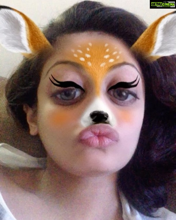 Sneha Ullal Instagram - Done with work,workout and dinner.Ab kya?