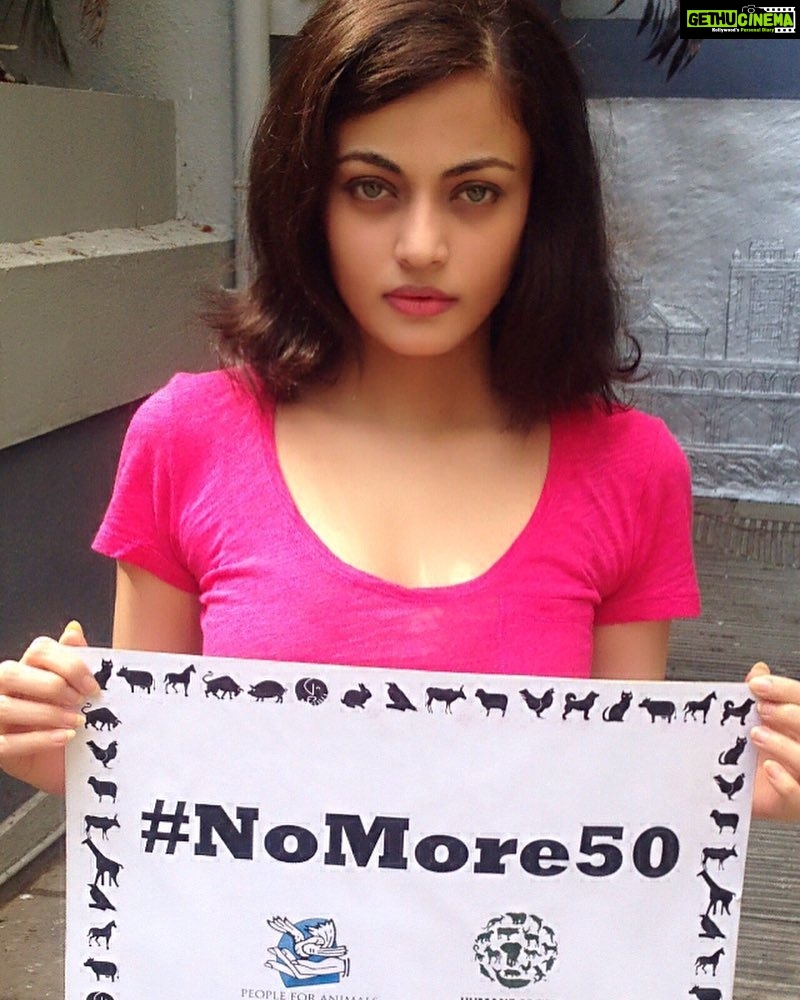 Sneha Ullal Instagram - 50 bucks and one can get away with animal cruelty and murder.Why is our law so weak?We can be better than our nation.#wecanbebettertogether #wecanbebetterpeople