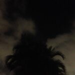 Sneha Ullal Instagram - Tonight