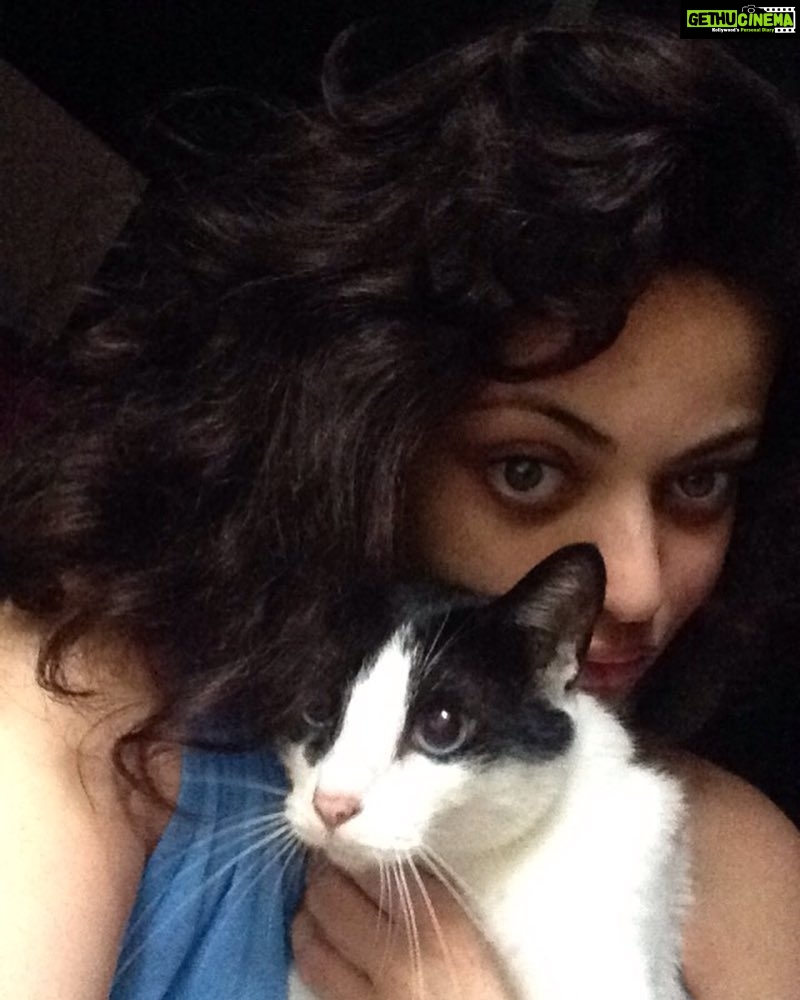 Sneha Ullal Instagram - Monsoon Morning Love