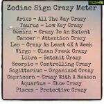 Sneha Ullal Instagram - Organized Crazy they say