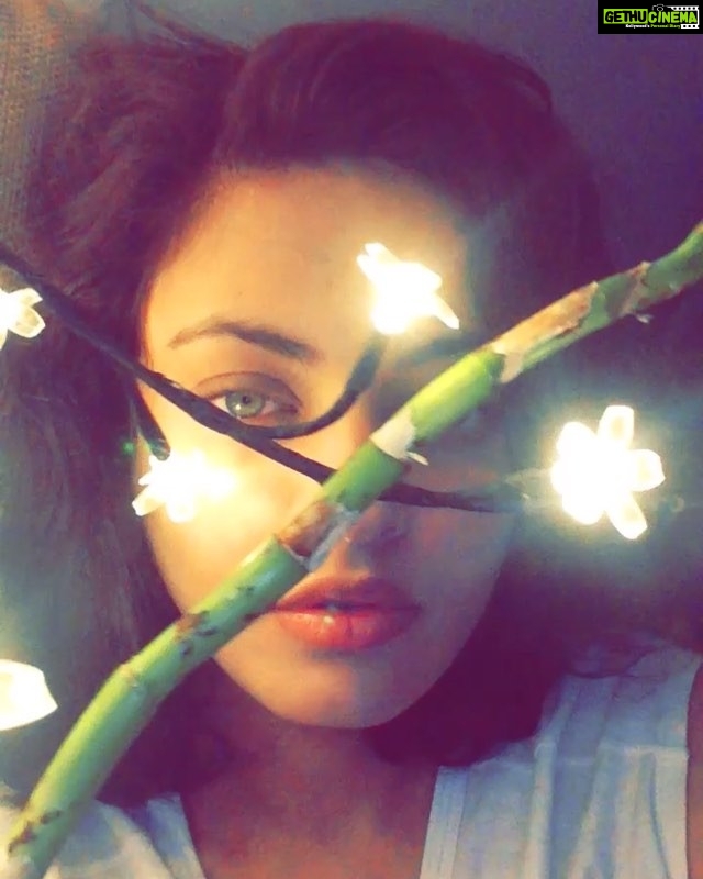 Sneha Ullal Instagram - Video-Just coz i love the song "fursat" by #arjunkunungo