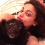 Sneha Ullal Instagram - A month has passed since Gypsi has gone..Oh god i miss her insanely.The worst feeling on earth is to miss someone.My baby she will be forever.❤️❤️❤️❤️❤️❤️