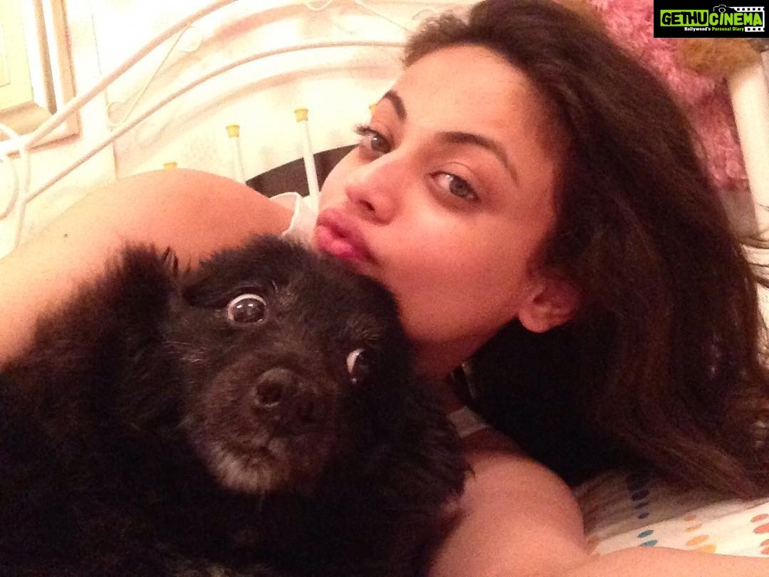 Sneha Ullal Instagram - A month has passed since Gypsi has gone..Oh god i miss her insanely.The worst feeling on earth is to miss someone.My baby she will be forever.❤️❤️❤️❤️❤️❤️