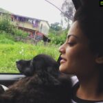 Sneha Ullal Instagram – A week has passed since my baby Gypsi passed away..Sucks
