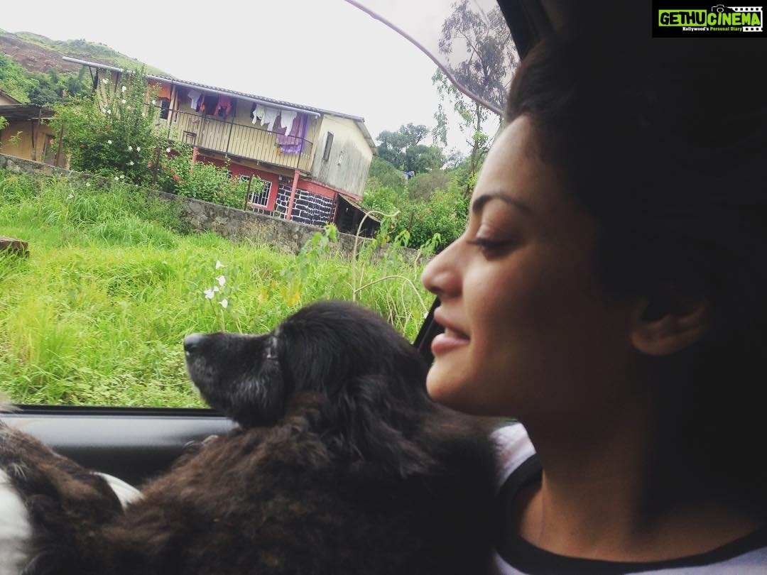 Sneha Ullal Instagram - A week has passed since my baby Gypsi passed away..Sucks