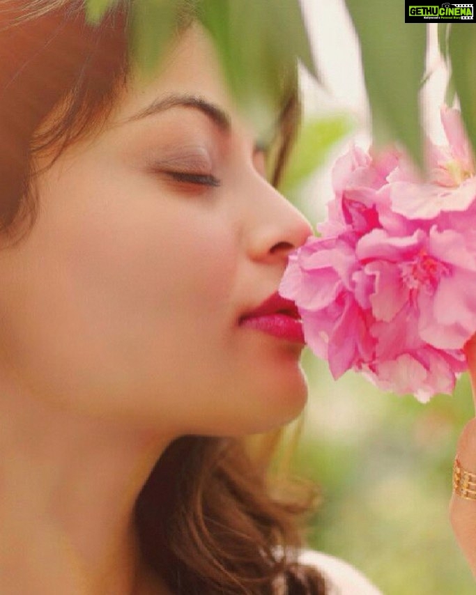 Sneha Ullal Instagram - Addicted to Aroma Always smell good
