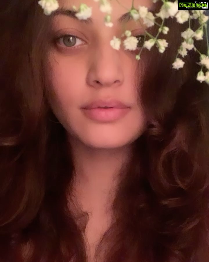 Sneha Ullal Instagram - Hi . . . #snehaullal