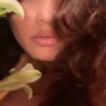 Sneha Ullal Instagram - Its strange what desire could make foolish people do …… . . . . #snehaullal #instagramreels #keepitreal