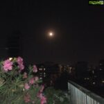 Sneha Ullal Instagram - My terrace. Vent it out #fullmoontonight
