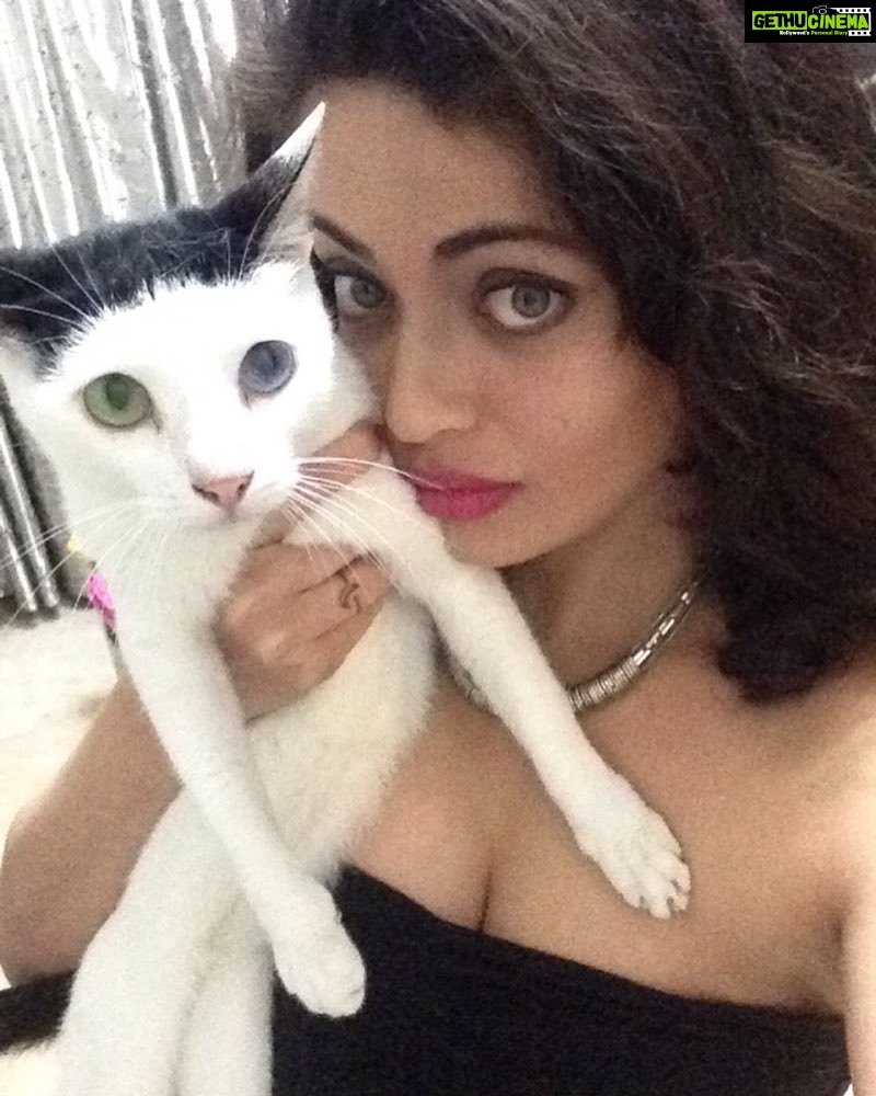 Sneha Ullal Instagram - Just got back home from the Times food and nightlife awards.@thetimesofindia