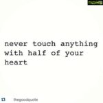 Sneha Ullal Instagram -