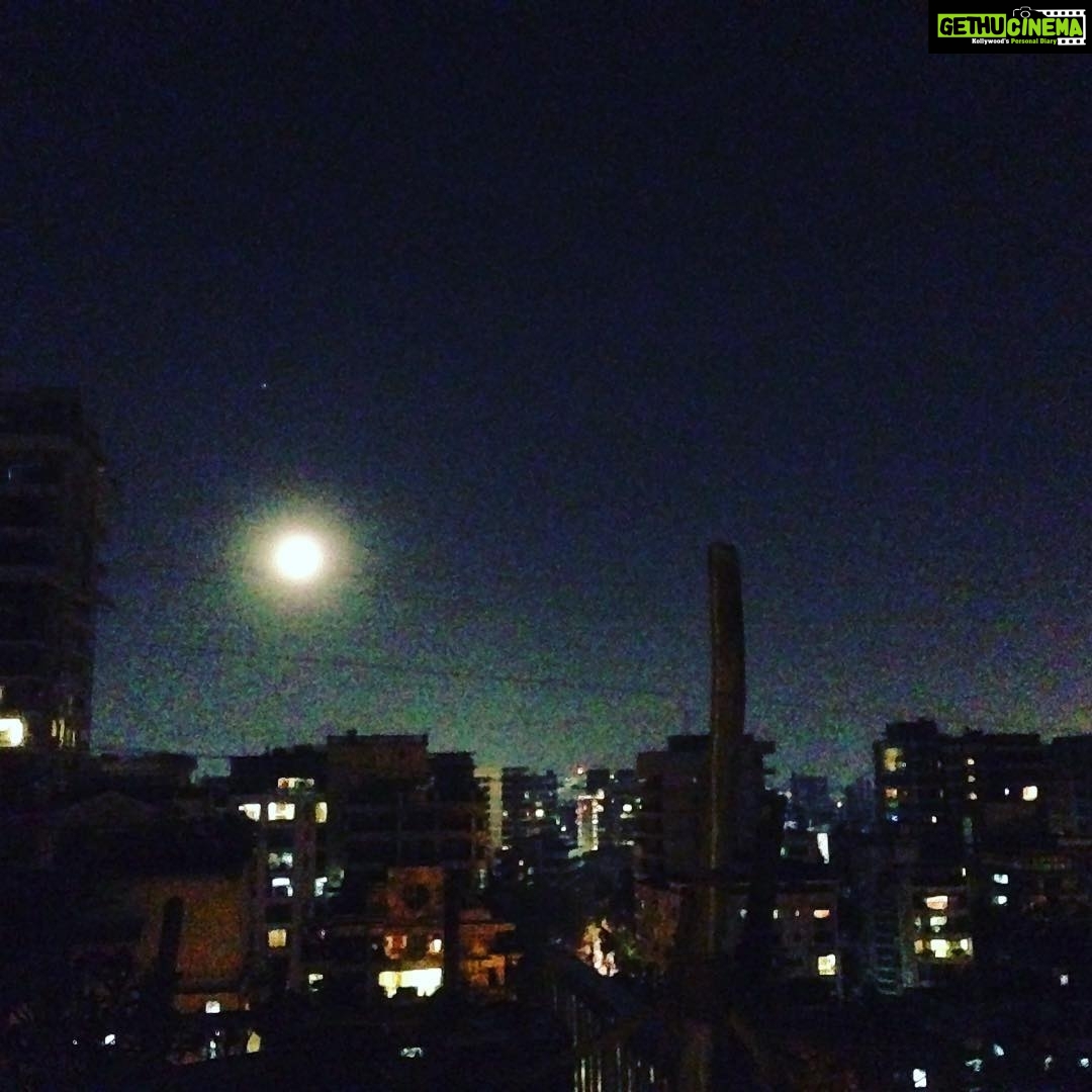 Sneha Ullal Instagram - I need my terrace right now ...