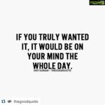 Sneha Ullal Instagram -