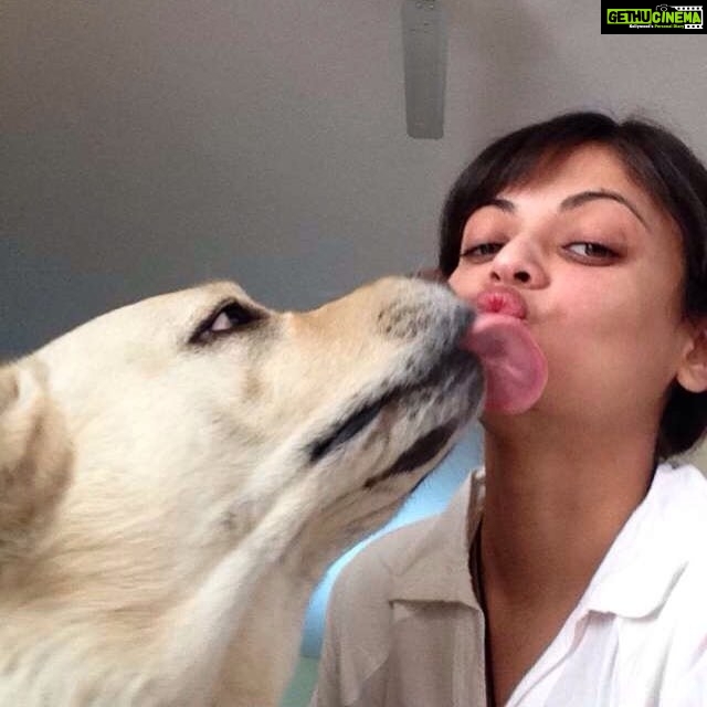 Sneha Ullal Instagram - Kissed- Show me some love #doggylick