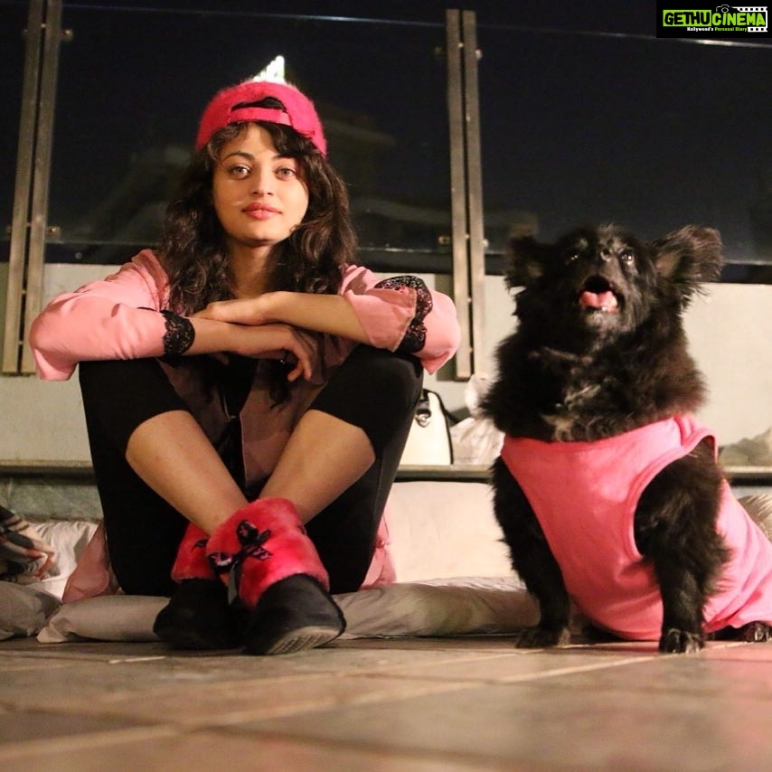 Sneha Ullal Instagram - When i had a theme party as sleepwear pink inspired by #victoriassecretpink #gypsilove