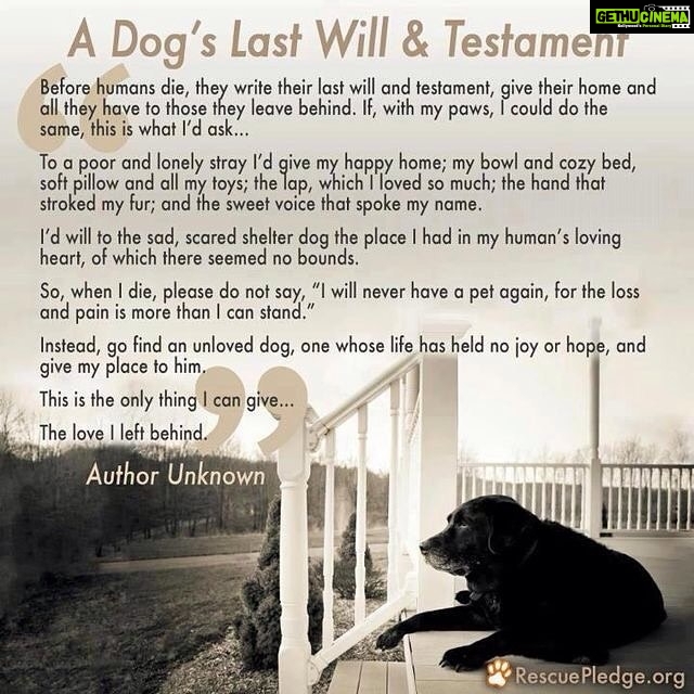 Sneha Ullal Instagram - Voice of the voiceless #makeadifference #livewithcompassion