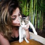 Sneha Ullal Instagram - Meow . . #snehaullal