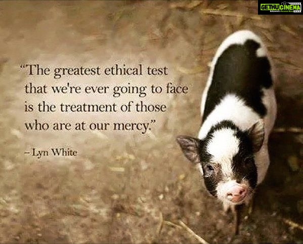 Sneha Ullal Instagram - If everyone could really understand and act on these words of #lynwhite #liveandletlive #causenoharm #begooddogood