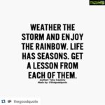 Sneha Ullal Instagram –