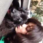 Sneha Ullal Instagram - Video-The love of my life