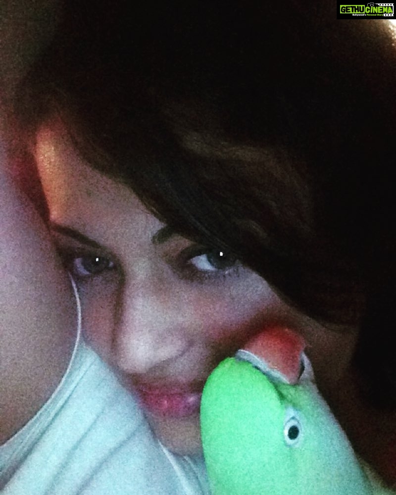 Sneha Ullal Instagram - My buddy..when i rescued her,she was innocent now shes a devil and rules my life..