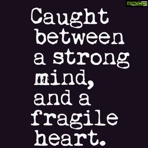 Sneha Ullal Instagram - #beingstrong #allweneedislove #familyfirst