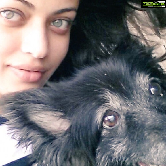 Sneha Ullal Instagram - Eyes..👀 (we see you)