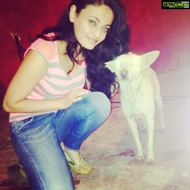 Sneha Ullal Instagram - Let's start with this cuty next to me..hi guys