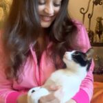 Sneha Ullal Instagram - Caption 1 - My Pussy & I or 😂 🐈 ( get it or judge it ) Caption 2 - Picket girl & I 🐱 #snehaullal #catsofinstagram #animallovers #bekind #mycat #goodmood