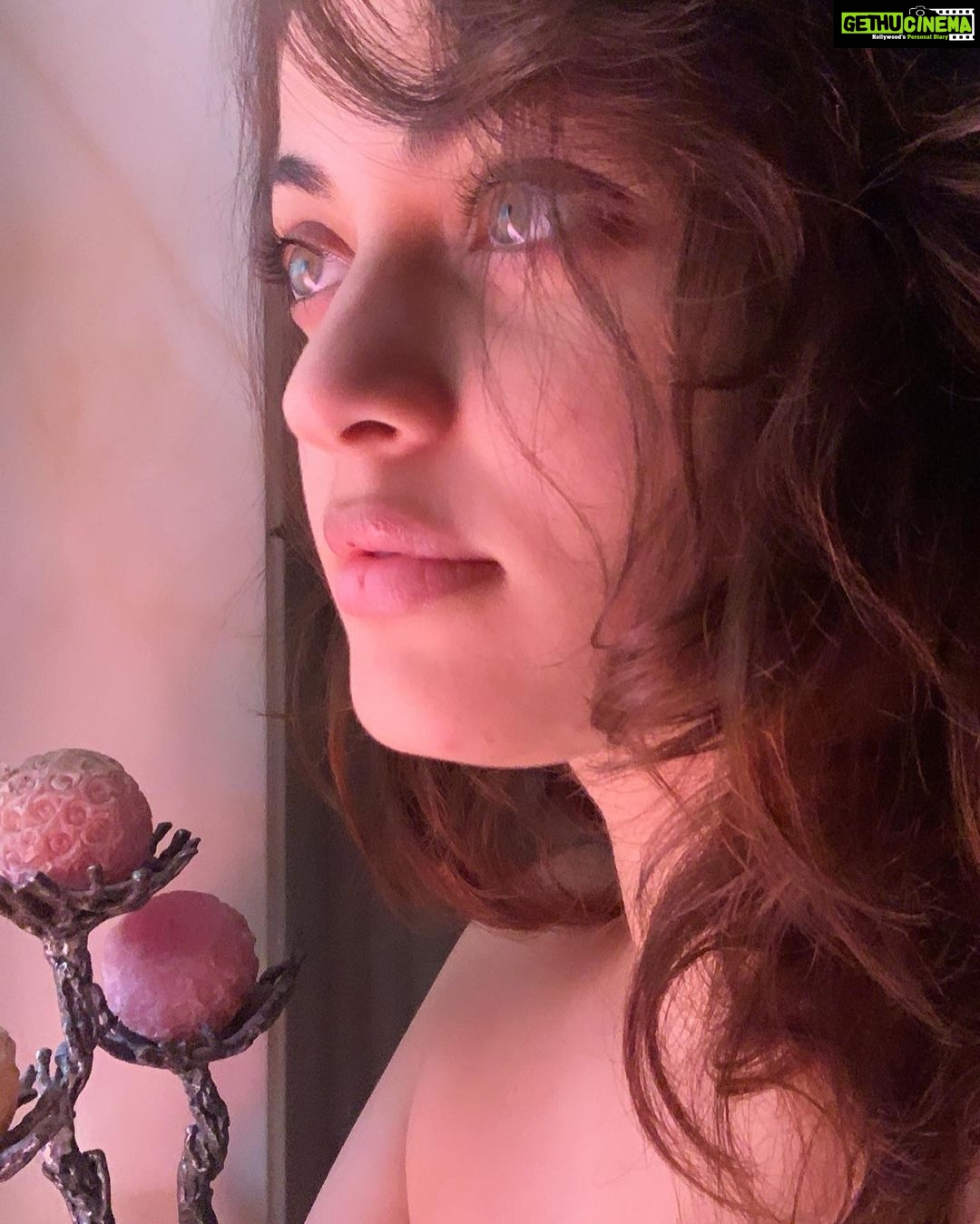 Sneha Ullal - 23.7K Likes - Most Liked Instagram Photos